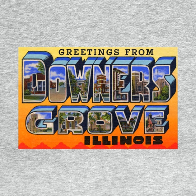 Greetings from Downers Grove, Illinois - Vintage Large Letter Postcard by Naves